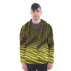 Feather Macro Bird Plumage Nature Hooded Windbreaker (men) by Wegoenart