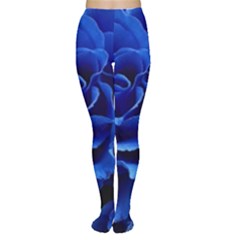 Blue Roses Flowers Plant Romance Tights