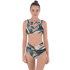 Fractals Fractal Art 3d Bandaged Up Bikini Set  by Wegoenart