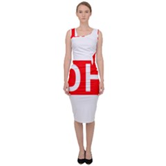 Dixie Highway Marker Sleeveless Pencil Dress by abbeyz71