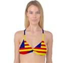 Flag of Estado Aragonés Reversible Tri Bikini Top View1