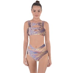 Flourish Artwork Fractal Expanding Bandaged Up Bikini Set  by Pakrebo