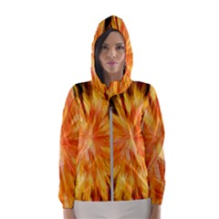 Color Background Structure Lines Rainbow Paint Hooded Windbreaker (women) by Alisyart