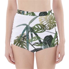 Botanical Illustration Palm Leaf High-waisted Bikini Bottoms by Mariart