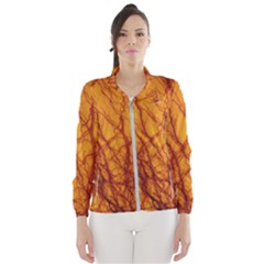 Lightning Internal Blood Vessel Windbreaker (women) by Pakrebo