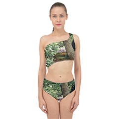 Garden Of The Phoenix Spliced Up Two Piece Swimsuit by Riverwoman