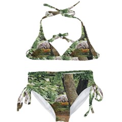 Garden Of The Phoenix Kids  Classic Bikini Set by Riverwoman