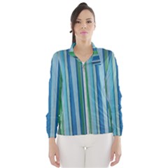 Painted Stripe Windbreaker (women) by dressshop