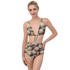 Shellfishs Photo Print Pattern Tied Up Two Piece Swimsuit by dflcprintsclothing