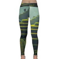 Scenic View Of Rice Paddy Classic Yoga Leggings by Sudhe