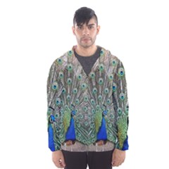 Peacock Bird Animal Feather Hooded Windbreaker (men) by Pakrebo