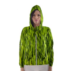 Agricultural Field   Women s Hooded Windbreaker by rsooll