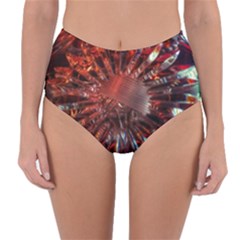Crystal Daisy Reversible High-waist Bikini Bottoms by okhismakingart