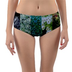 Queen Annes Lace Vertical Slice Collage Reversible Mid-waist Bikini Bottoms by okhismakingart
