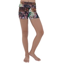 Queen Annes Lace Horizontal Slice Collage Kids  Lightweight Velour Yoga Shorts by okhismakingart