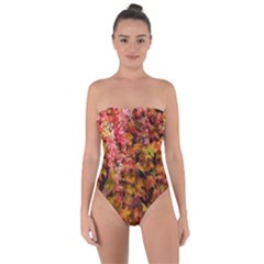 Red And Yellow Ivy Tie Back One Piece Swimsuit by okhismakingart