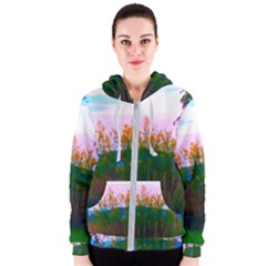 Field Of Goldenrod Women s Zipper Hoodie by okhismakingart