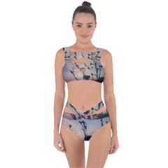 Hazy Thistles Bandaged Up Bikini Set  by okhismakingart