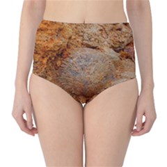 Shell Fossil Ii Classic High-waist Bikini Bottoms by okhismakingart