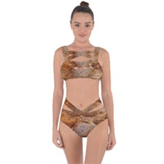 Shell Fossil Ii Bandaged Up Bikini Set  by okhismakingart