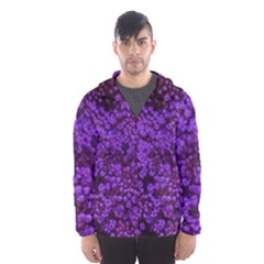 Purple Queen Anne s Lace Landscape Men s Hooded Windbreaker by okhismakingart