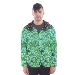 Green Queen Anne s Lace Landscape Men s Hooded Windbreaker by okhismakingart