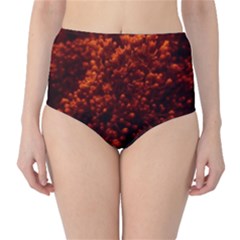 Red Goldenrod Classic High-waist Bikini Bottoms by okhismakingart