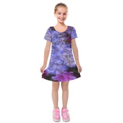 Hydrangea Arrangement Ii (blue Tint) Kids  Short Sleeve Velvet Dress by okhismakingart