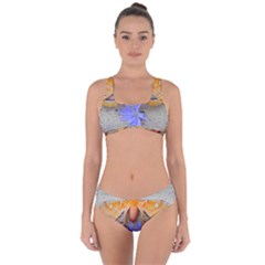 Moth And Chicory Criss Cross Bikini Set by okhismakingart