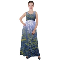 Blue Goldenrod Empire Waist Velour Maxi Dress by okhismakingart