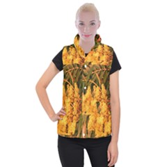 Yellow Sideways Sumac Women s Button Up Vest by okhismakingart