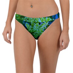 Lime Green Sumac Bloom Band Bikini Bottom by okhismakingart