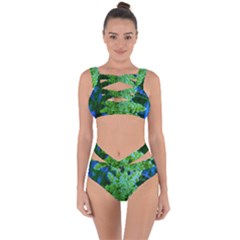 Lime Green Sumac Bloom Bandaged Up Bikini Set  by okhismakingart