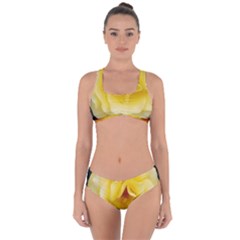 Pale Yellow Rose Criss Cross Bikini Set by okhismakingart