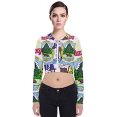 Coat Of Arms Of Maine Long Sleeve Zip Up Bomber Jacket by abbeyz71