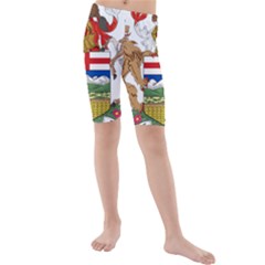 Coat Of Arms Of Alberta Kids  Mid Length Swim Shorts by abbeyz71