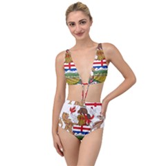 Coat Of Arms Of Alberta Tied Up Two Piece Swimsuit by abbeyz71