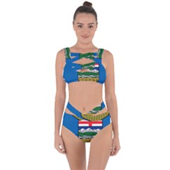 Flag Map Of Alberta Bandaged Up Bikini Set  by abbeyz71