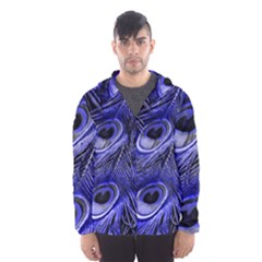 Peacock Feathers Color Plumage Men s Hooded Windbreaker by Pakrebo