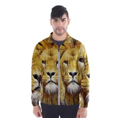 Lion Lioness Wildlife Hunter Men s Windbreaker by Pakrebo