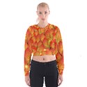 Pattern Texture Leaf Cropped Sweatshirt View1