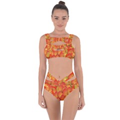 Pattern Texture Leaf Bandaged Up Bikini Set  by HermanTelo
