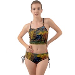 Outdoor Landscape Scenic View Mini Tank Bikini Set by Pakrebo