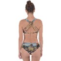 Heronimus Bosch The Haywagon Criss Cross Bikini Set View2