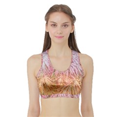 Fineleaf Japanese Maple Highlights Sports Bra With Border by Riverwoman