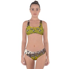 Flying Sheep Criss Cross Bikini Set