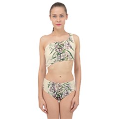 Botanical Print Antique Natural Spliced Up Two Piece Swimsuit by Pakrebo