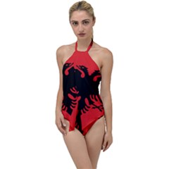 Albania Flag Go With The Flow One Piece Swimsuit by FlagGallery