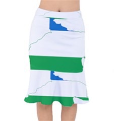 Flag Map Of Argentine Province Of Río Negro Short Mermaid Skirt by abbeyz71