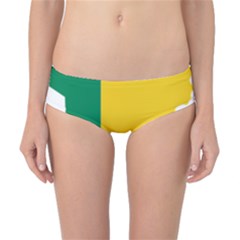 Benin Africa Borders Country Flag Classic Bikini Bottoms